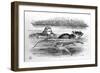 Alice in Wonderland by Lewis Carroll (E. Dodgson). Illustration of the First Edition by Tenniel, 18-John Tenniel-Framed Giclee Print