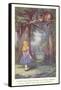 Alice in Wonderland, Cheshire Cat-null-Framed Stretched Canvas