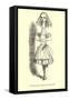 Alice in Wonderland, Stretched Neck-null-Framed Stretched Canvas