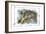 Alice in Wonderland: The Cheshire Cat-John Tenniel-Framed Art Print