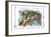 Alice in Wonderland: The Cheshire Cat-John Tenniel-Framed Art Print