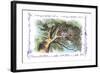 Alice in Wonderland: The Cheshire Cat-John Tenniel-Framed Art Print