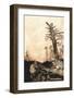 Alice in Wonderland - The White Rabbit-Arthur Rackham-Framed Art Print