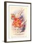 Alice in Wonderland, White Rabbit-null-Framed Art Print