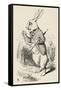 Alice in Wonderland --John Tenniel-Framed Stretched Canvas