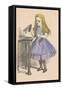 'Alice looking at the bottle with the sign 'drink me''', 1889-John Tenniel-Framed Stretched Canvas