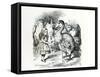 Alice Meets the Dodo, Illustration from Alice's Adventures in Wonderland, by Lewis Carroll, 1865-John Tenniel-Framed Stretched Canvas