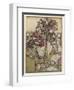 Alice: Rose-Garden,Cards-Arthur Rackham-Framed Art Print