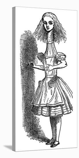 Alice's Adventure's in Wonderland-John Tenniel-Stretched Canvas