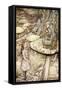 Alice 's Adventures in Wonderland by Lewis Carroll-Arthur Rackham-Framed Stretched Canvas