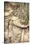 Alice 's Adventures in Wonderland by Lewis Carroll-Arthur Rackham-Stretched Canvas