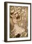 Alice 's Adventures in Wonderland by Lewis Carroll-Arthur Rackham-Framed Giclee Print