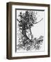 Alice 's Adventures in Wonderland by Lewis Carroll-Arthur Rackham-Framed Giclee Print