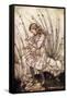 Alice 's Adventures in Wonderland by Lewis Carroll-Arthur Rackham-Framed Stretched Canvas