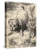 Alice Shrinks and Meets the Puppy, from 'Alice's Adventures in Wonderland' by Lewis Carroll,…-John Tenniel-Stretched Canvas