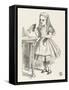Alice Shrinks and Stretches Alice Finds the Bottle Labelled Drink Me-John Tenniel-Framed Stretched Canvas