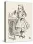 Alice Shrinks and Stretches Alice Finds the Bottle Labelled Drink Me-John Tenniel-Stretched Canvas