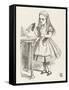Alice Shrinks and Stretches Alice Finds the Bottle Labelled Drink Me-John Tenniel-Framed Stretched Canvas