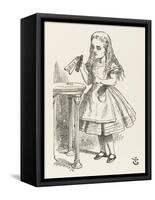 Alice Shrinks and Stretches Alice Finds the Bottle Labelled Drink Me-John Tenniel-Framed Stretched Canvas