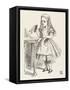 Alice Shrinks and Stretches Alice Finds the Bottle Labelled Drink Me-John Tenniel-Framed Stretched Canvas