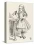 Alice Shrinks and Stretches Alice Finds the Bottle Labelled Drink Me-John Tenniel-Stretched Canvas