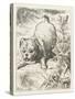 Alice (Shrunk) with the Puppy-John Tenniel-Stretched Canvas