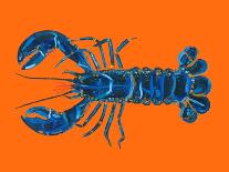 Langoustines on Blue-Alice Straker-Photographic Print