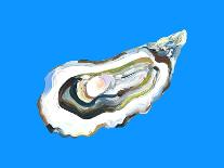 Oyster by the Sea Blue-Alice Straker-Photographic Print