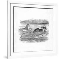 'Alice swimming with a mouse in a pool', 1889-John Tenniel-Framed Giclee Print