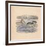 Alice swimming with a mouse in a pool', 1889-John Tenniel-Framed Giclee Print