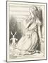 Alice Watches the White Rabbit Disappear Down the Hallway-John Tenniel-Mounted Photographic Print