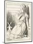 Alice Watches the White Rabbit Disappear Down the Hallway-John Tenniel-Mounted Photographic Print