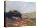 Stretched Canvas