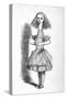 'Alice with a long neck', 1889-John Tenniel-Stretched Canvas