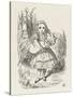 Alice with the Pig-Baby-John Tenniel-Stretched Canvas