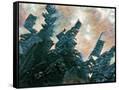 Canvas Black