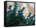 Canvas Black