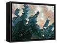 Canvas Black