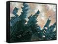 Canvas Black