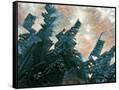 Canvas Black