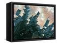 Canvas Black