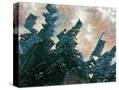 Stretched Canvas