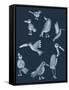 Canvas Black