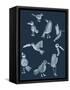 Canvas Black