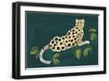 Black Frame