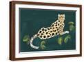 Brown Frame