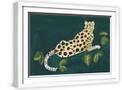 White Frame