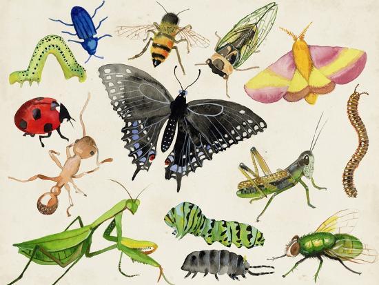 Art Print, , large