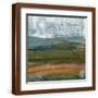 Brown Frame