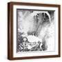 Brown Frame